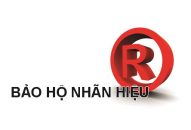 Thủ tục gia hạn bảo hộ nhãn hiệu tại Phú Yên